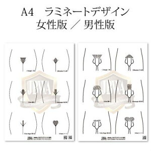 y1zA4TCY VIOE fUCV[g ~l[g^Cv