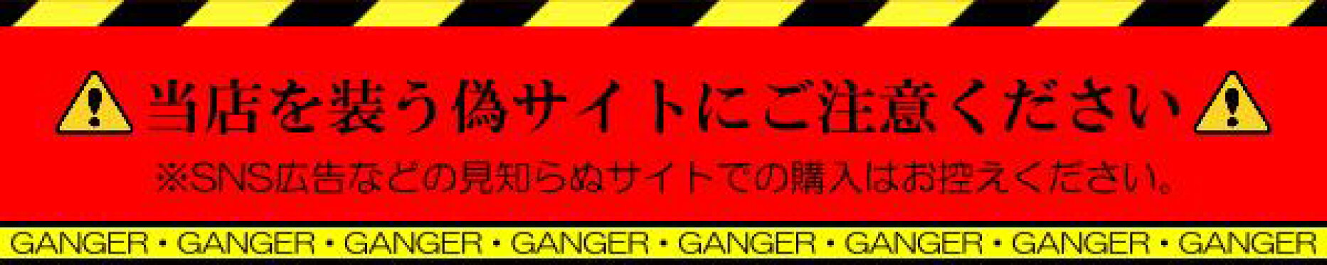 偽サイトにご注意を！