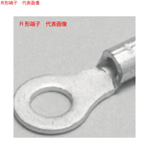 �j�`�t�@R2-3.5NS�i100�j�������[�q�iR�`�j�ی`