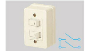 �p�i�\�j�b�N WS3900W2�A�^���u���X�C�b�`�i�n�C�p�A�p�j10A300V