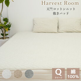 【P5倍4/24 20時～】天竺ニット 敷きパッド クイーン 160×205cm 綿100% コットン 天竺 単品 ファミリーサイズ 綿 軽い おしゃれ 着脱簡単 寝具 杢カラー くすみカラー 通年 送料無料 HarvestRoom | オールシーズン 敷パッド 敷きパット ベッド ベッドパッド