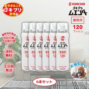 SLuG_[ Ɩp 120vbV SLu쏜 Xv[ KINCHO e ܂Ƃߔ E   nG gRW~