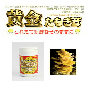 送料無料黄金たもぎ茸360錠きのこたもぎたけ健康美容サプリダイエットメタボアンチエイジング腸内環境改善便秘中高年日本産男性女性人気おすすめ