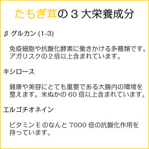送料無料黄金たもぎ茸360錠きのこたもぎたけ健康美容サプリダイエットメタボアンチエイジング腸内環境改善便秘中高年日本産男性女性人気おすすめ