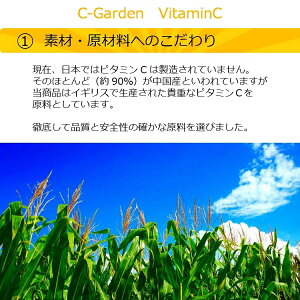 イギリス産1包に2,000mgのビタミンC配合C-GardenVitaminC30包約1ヵ月分サプリサプリメント粉末美容サプリ健康サプリ美白喫煙コラーゲン人気おすすめ