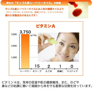【スーパーセール】シーベリーオイル90粒サジーシーベリーサプリスーパーフード中高年健康美容ダイエット髪オメガ3オメガ6オメガ7オメガ9モンゴル産200種類以上の栄養素を持つ奇跡のフルーツ人気おすすめ