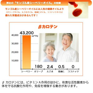【スーパーセール】シーベリーオイル90粒サジーシーベリーサプリスーパーフード中高年健康美容ダイエット髪オメガ3オメガ6オメガ7オメガ9モンゴル産200種類以上の栄養素を持つ奇跡のフルーツ人気おすすめ