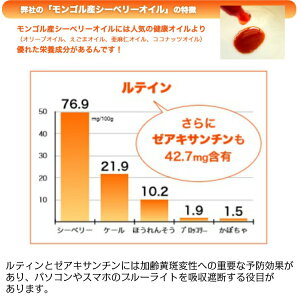【スーパーセール】シーベリーオイル90粒サジーシーベリーサプリスーパーフード中高年健康美容ダイエット髪オメガ3オメガ6オメガ7オメガ9モンゴル産200種類以上の栄養素を持つ奇跡のフルーツ人気おすすめ