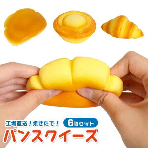 工場直送!焼きたてパンスクイーズ 6個セット(sy5089)