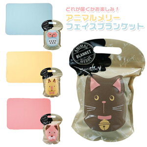 Aj}[ tFCXuPbg ǂꂪ͂y݁I