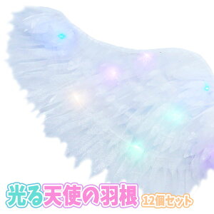 Vg̉H 12Zbg