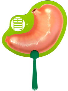 l̂ 