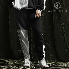 2024 春夏 先行予約 4月上旬〜中旬入荷予定 アンゲネーム パンツ ANGENEHM Ponte fabric switching design pants メンズ 送料無料