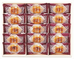 ЂƂƂ ˈ KGB-15 Mtg   Ε 䌩   OXC[c