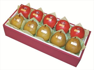 R`Y tX& YTӂlߍ킹 Mtg   Ε 䌩   OXC[c