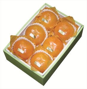 a̎RY xL` Mtg   Ε 䌩   OXC[c