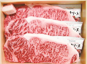 ꋍ ɌT[CXe[L Mtg   Ε 䌩   OXC[c