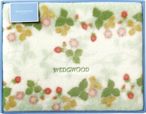 EFbWEbh ChXgx[ ANj[}C[ѕziщHj FQ88100051G O[ j j j j LOi oYj v[g Cj e{ o