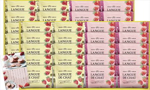 ܂䕃OhV GT50 j j j j LOi oYj v[g Cj e{ o