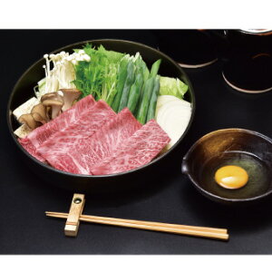 u쉮vߍ]₫EԂԗp 1950099 NX}X x  NNn ̑i ei }t