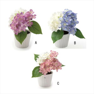 lZT[tLEDCg zԃAW C/ifVR FF-AJ-ND ii LOi ei mxeB  䈥A A