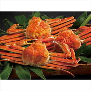 {C킢Ɏp3(50) 500*3 ii LOi ei mxeB  䈥A A