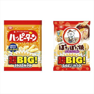 Tc rbOpbN A/nbs[^[ 20095 ii LOi ei mxeB  䈥A A