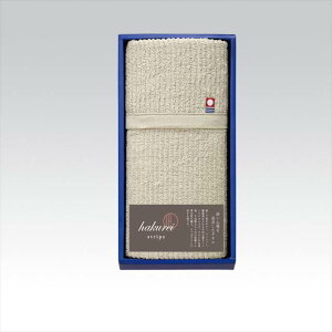  tFCX^I1P IPG43100-BE ii LOi ei mxeB  䈥A A