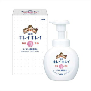 ライオン キレイキレイ 薬用 泡ハンドソープ 箱入 BPPHA 景品 記念品 粗品 ノベルティ 名入れ 御挨拶 ご挨拶