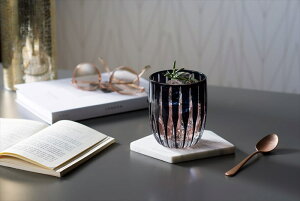 Rays�@�������b�N�O���X�iBK�j RY-1773 ���j�� ������ �L�O�i �v���[���g ���j �o�Y���j��