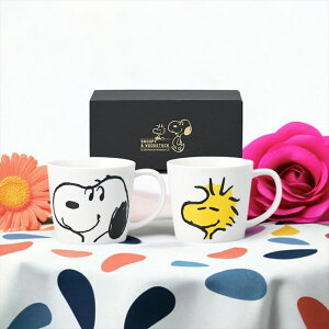 スヌーピー&ウッドストックスマイルフェイスペアマグ 623750 内祝い 結婚式 記念品 プレゼント 内祝 出産内祝い
