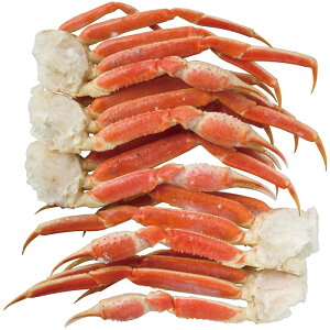  {C킢ɋr 1.2kg ijE͔zBs S Ε Mtg  Ε 2025 䌩   OXC[c