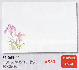 M30-207�l�G�� ��� ����߁i100�����j