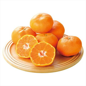 0 O݂@ 0 j j j j LOi oYj v[g Cj e{ o