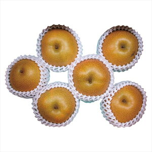 0 쐅2.4kg@ 0 j j j j LOi oYj v[g Cj e{ o