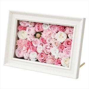 0 vUAWt[@ H18-566P j j j j LOi oYj v[g Cj e{ o