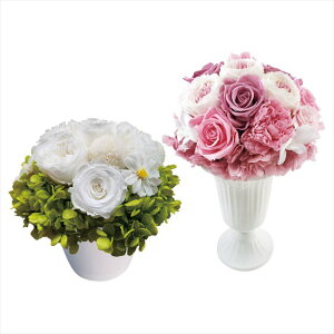 0 �v���U�[�u�h�t�����[L�Z�b�g�@ T-R500P ���j ���j�� ���j ��j �L�O�i �o�Y���j�� �v���[���g ���C�j�� �e���{ ���o��