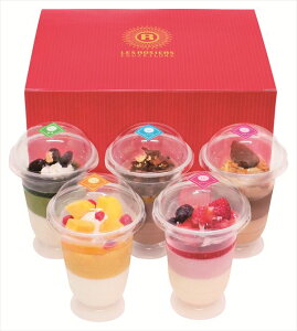    WF GMXL[ XC[cATu S ΕMtg  Ε2025 䌩   OXC[c