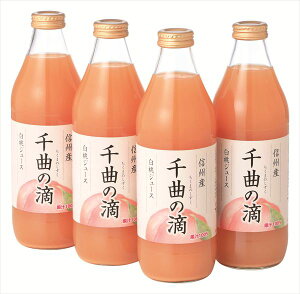  MBYW[X Ȃ̓H S ΕMtg  Ε2025 䌩   OXC[c