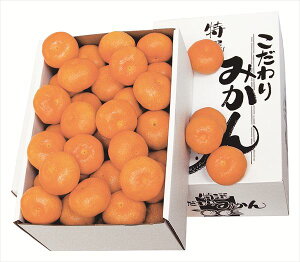  _Cʉ 艷B݂ S ΕMtg  Ε2025 䌩   OXC[c