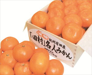  _Cʉ IBLcucvl݂ S ΕMtg  Ε2025 䌩   OXC[c