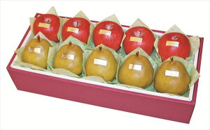  R`YtX&YTӂlߍ S ΕMtg  Ε2025 䌩   OXC[c