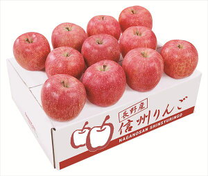  _Cʉ YTӂ S ΕMtg  Ε2025 䌩   OXC[c