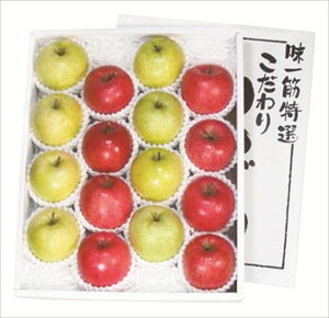  _Cʉ XE񂲖 S ΕMtg  Ε2025 䌩   OXC[c