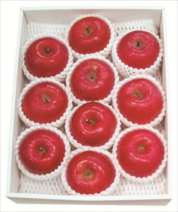  XYxZT[IʃTӂ S ΕMtg  Ε2025 䌩   OXC[c