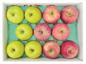  XTӂ& S ΕMtg  Ε2025 䌩   OXC[c