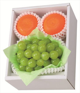  VC}XJbg&g܂ǂ S ΕMtg  Ε2025 䌩   OXC[c