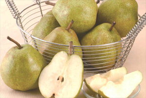  R` EtX S ΕMtg  Ε2025 䌩   OXC[c