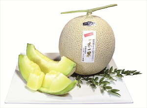  _Cʉ ÉYNE S ΕMtg  Ε2025 䌩   OXC[c