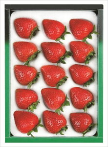  _Cʉ ܂ S ΕMtg  Ε2025 䌩   OXC[c